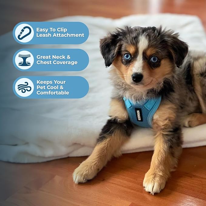 Best Pet Supplies Voyager Step-in Lock Pet Harness w Reflective Pet Leash Combo Set with Neoprene Handle 5ft - Supports Small, Medium and Large Breed Puppies/Cats - Baby Blue, XL