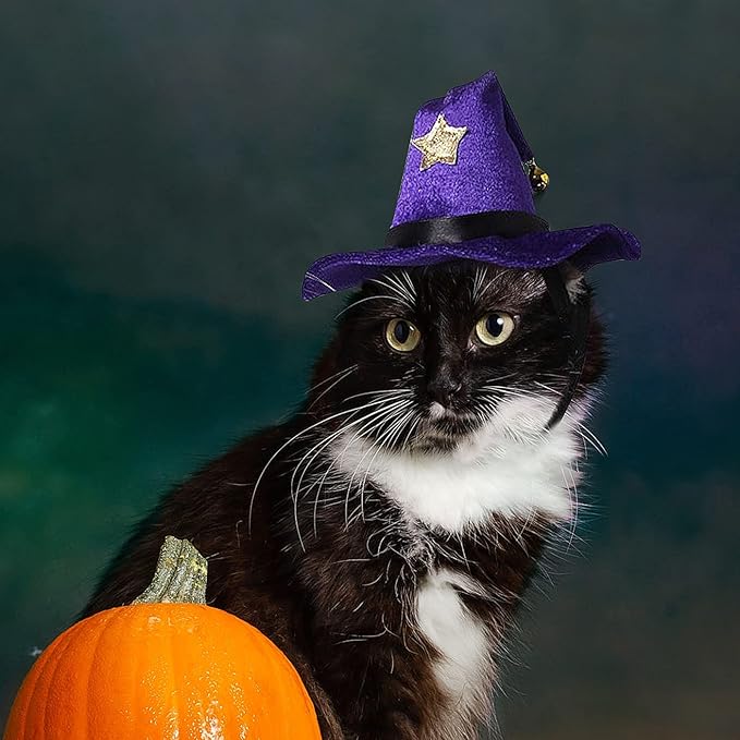 NAMSAN Cat Witch Hat, Funny Cat Halloween Costumes, Doggy Wizard Hat Outfit with Bell, Sorcerer Hat for Cats Small Dogs Cosplay