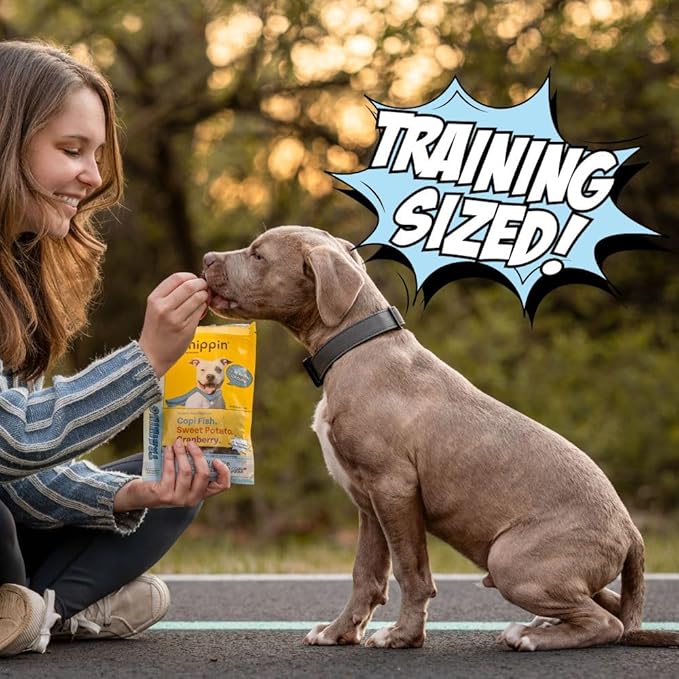 Chippin Soft Dog Training Treats, Mini Bite Size Fish & Sweet Potato Dog Treats, Healthy Low Calorie Training Rewards for Puppy & Dogs, Natural High Protein