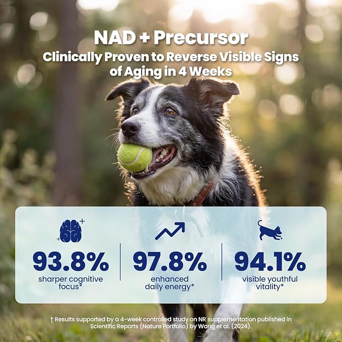 NAD+ Precursor & Senior Dog Supplement - 90 Soft Chews - NMN Alternative for Longevity & Healthy Aging - Nicotinamide Riboside, Resveratrol, Quercetin - Filet Mignon Steak Flavor