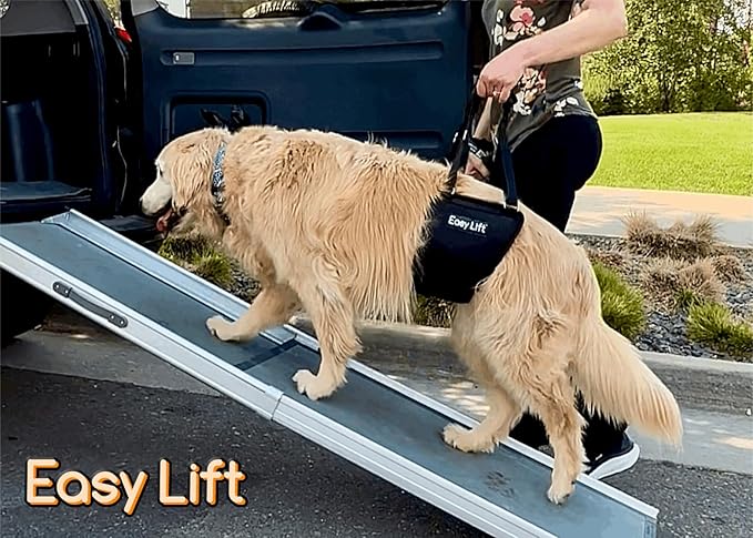 Easy Lift Dog Support Sling, Rear Hind Leg Harness for Injured & Senior Dogs, or Surgery Recovery & Rehabilitation, Padded for Comfort, Ergonomic Design, Machine Wash & Dry (Large/Extra Large)