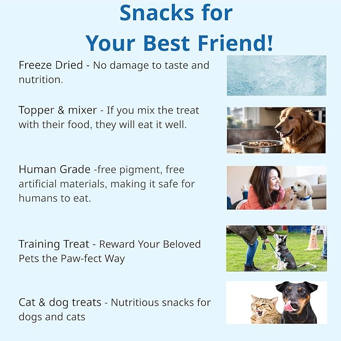 Puppyluv Capelin Treats for Dogs & Cats – Freeze-Dried Whole Fish, High Protein, Omega 3/6/9, Healthy Skin & Coat, Grain-Free, Natural Training Treats, 2.6oz