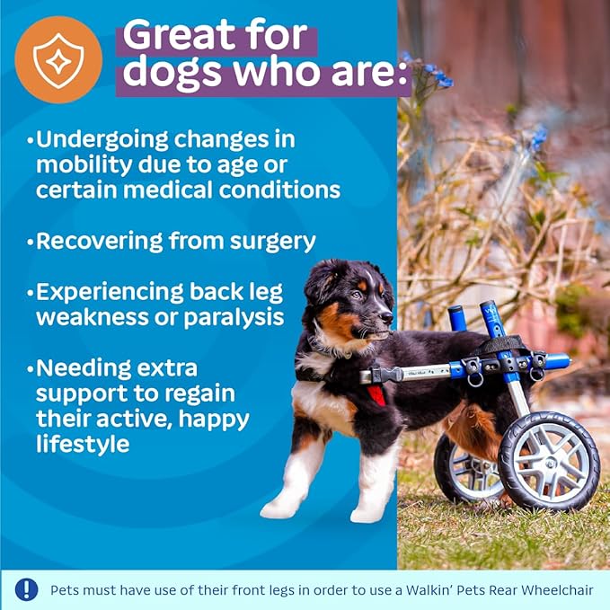 Walkin' Wheels Small Dog Wheelchair, Lightweight Dog Wheelchair for Back Legs, 11-14 lbs, for 3-6 inches Leg Height - Blue