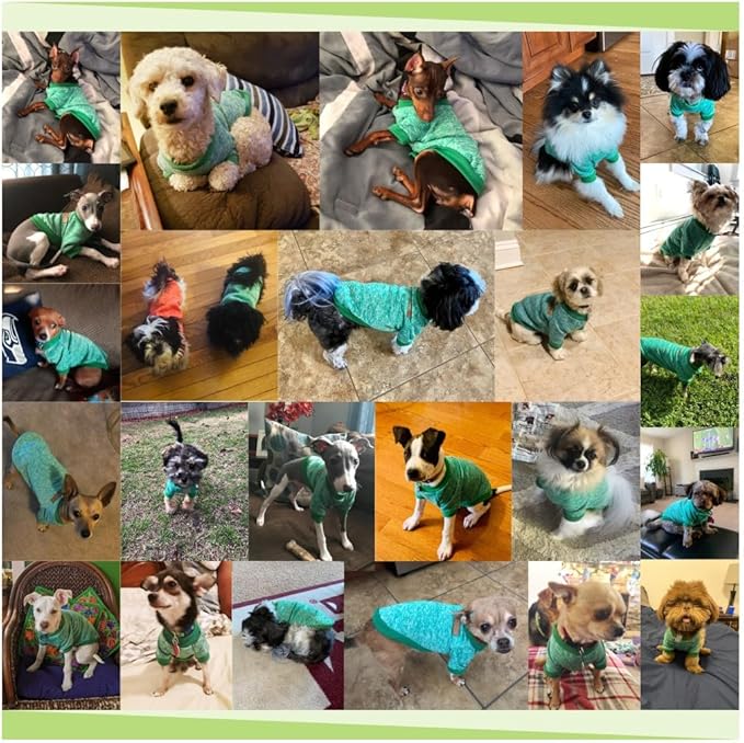 Jecikelon Dog Clothes Dogs Sweater Soft Puppies Clothing Winter Puppy Sweaters Warm Outfit for Dogs Small XXS XS Cat Apparel (Green, XS)