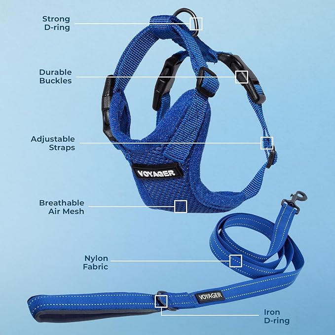 Best Pet Supplies Voyager Step-in Lock Pet Harness w Reflective Pet Leash Combo Set with Neoprene Handle 5ft - Supports Small, Medium and Large Breed Puppies/Cats - Royal Blue Set, M