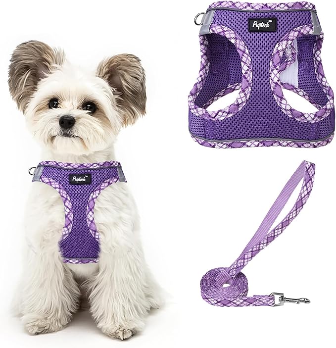 PUPTECK Dog Harness and Leash Set for Small Medium Dogs No Pull Step-in Soft Mesh Puppy Cat Vest Harnesses Reflective at Night, Upgraded New Purple M