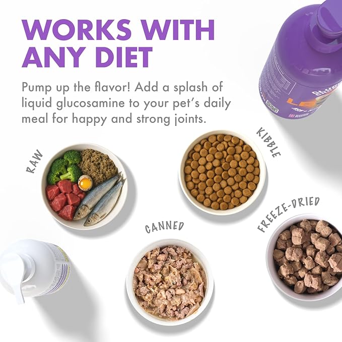 Liquid Glucosamine for Dogs Bacon Flavour with Chondroitin, MSM & Hyaluronic Acid K9 Supplement Hip and Joint Formula Advanced Mobility Joint Pain Relief Senior Advanced Supplement for All Breeds