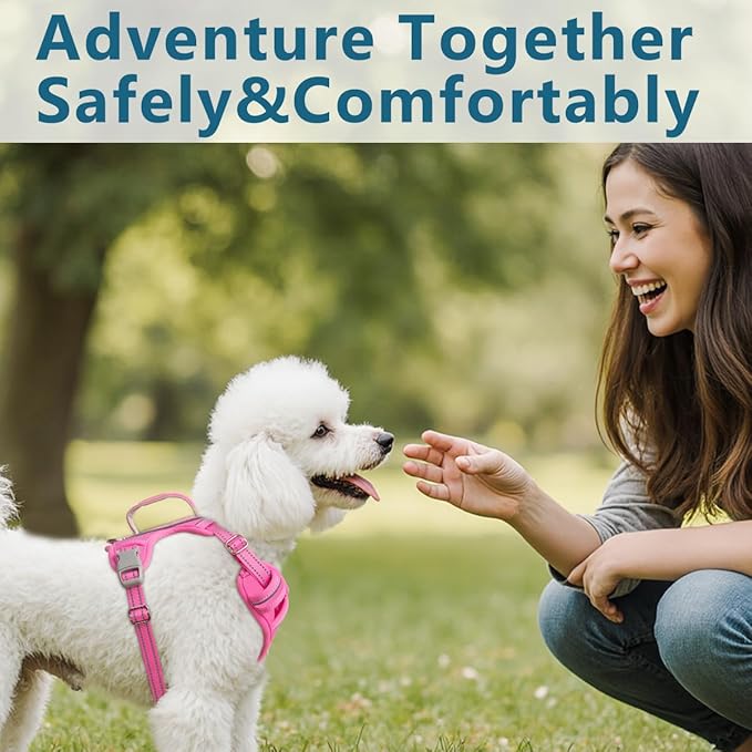 BARKBAY Dog Harness No Pull Oxford with ID Tag Pocket - Heavy Duty, Reflective, Easy Control for Large Dogs(Pink Oxford,XS)