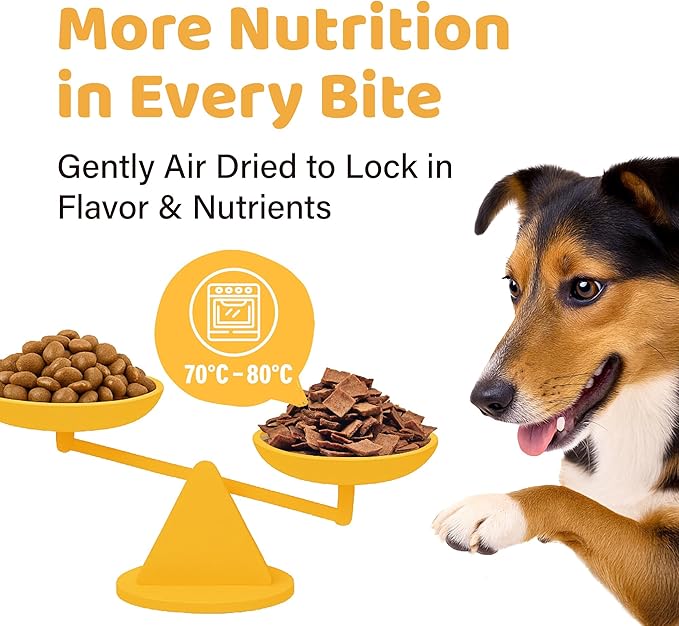 iPaw Air-Dried Turkey Dog Treats, Extra Virgin Olive Oil Added, Made with Turkey Meat, Chicken Heart and Duck Liver, High Protein, Soft Treats for All Age Dogs, Freeze-Dried Alternative (3.5oz/Pack)