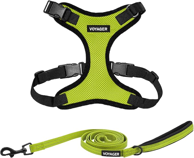 Best Pet Supplies Voyager Step-in Lock Pet Harness w Reflective Pet Leash Combo Set with Neoprene Handle 5ft - Supports Small, Medium and Large Breed Puppies/Cats - Lime Green/Black Trim Set, L