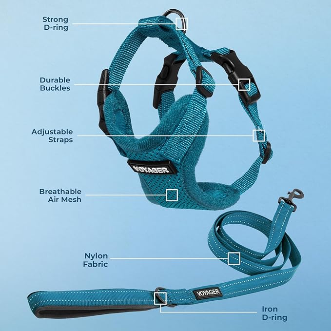 Best Pet Supplies Voyager Step-in Lock Pet Harness w Reflective Pet Leash Combo Set with Neoprene Handle 5ft - Supports Small, Medium and Large Breed Puppies/Cats - Turquoise Set, M