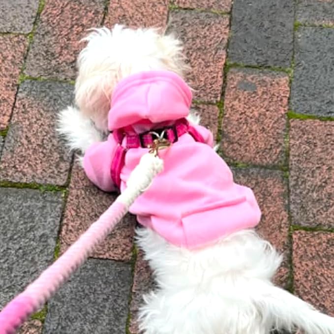 Jecikelon Winter Dog Hoodie Sweatshirts with Pockets Warm Dog Clothes for Small Dogs Chihuahua Coat Clothing Puppy Cat Custume (Pink, Small)