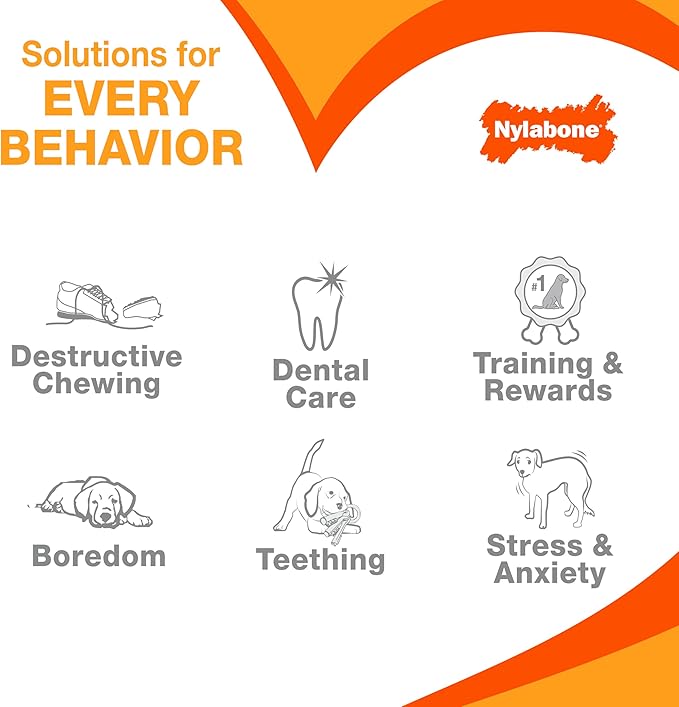 Nylabone Original Bone Power Chew Toy for Dogs, Durable & Tough Dog Toys for Aggressive Chewers, Chicken Flavor, Small - Up to 25 Ibs, 1 Count