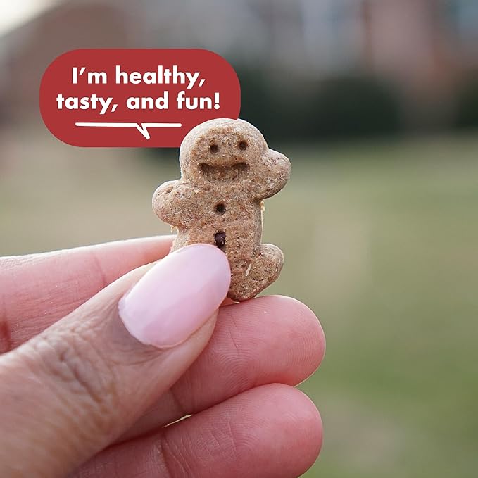 Buddy Biscuit Softies 5 oz Pouch, Grain-Free Soft & Chewy, Natural Grilled Beef Flavor Dog Treats, Oven Baked in the USA