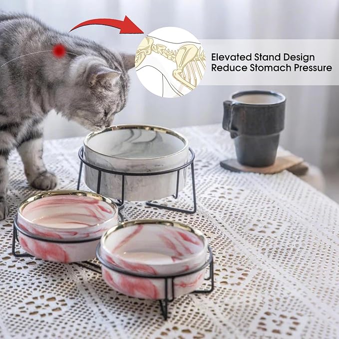 Dazzling Ceramic Elevated Cat Bowls,Raised Dog Cat Pet Food Water Bowl for Indoor(Pink, Large)