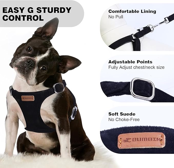 Dog Harness and Leash Set, XXS No Pull Adjustable Puppy Harness with Multifunction Pink Dog Leash and Dog Collar, Soft No Choke Escape Proof Pet Harness Vest for Small Dogs and Cats (Black, XXS)