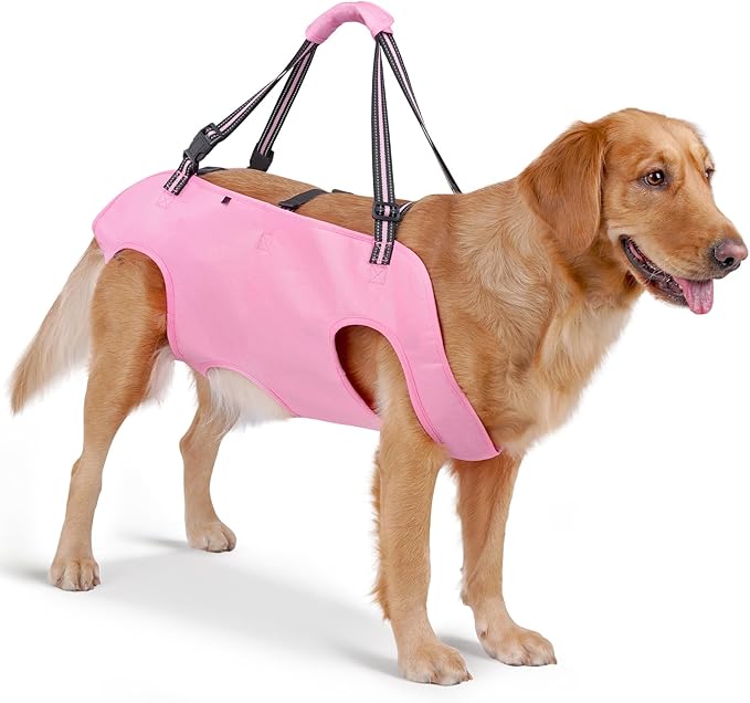 Mayerzon Dog Full Body Lift Harness, Support Sling Backpack for Senior Disabled Dogs, Front Hind Leg Joint Injuries, Help Up & Down Stairs Walk Hiking Grooming Harness, Reflective, Soft Padded Handle