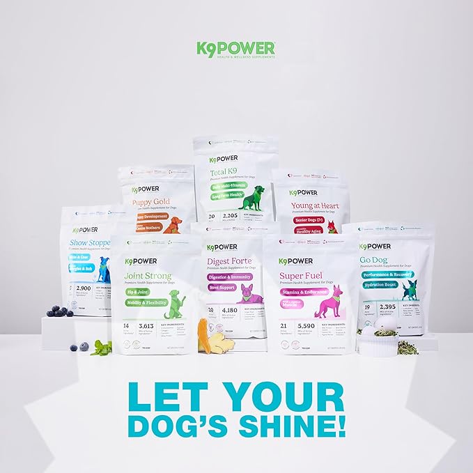 K9Power Go Dog – Hydration & Electrolyte Supplement for Dogs – Boost Stamina, Recovery, Muscle Function & Energy – Beta-Alanine, Creatine, BCAAs, Agave, Green Tea Extract, Electrolytes