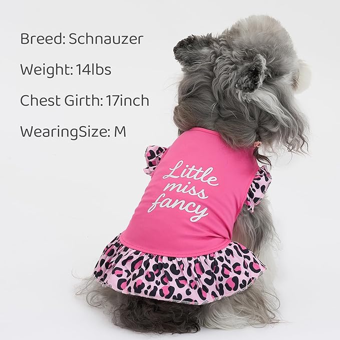 XPUDAC 4 Pack Cute Dog Dress for Small Dog, Floral Puppy Dress Sweet Girl Pet Skirt Outfits Colorful for Birthday Holiday Spring Summer Pet Clothes for Girls, XS