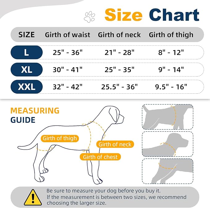 CHAMIN Dog Hip Brace with Back Handheld Design, Support for Hip Dysplasia, Arthritis, Back Leg limping, Reduce Hip Pain & Accelerated Recovery After Surgery etc(Extra Large)