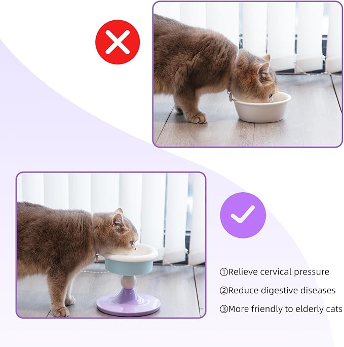 Elevated Cat Bowl with 3 Adjustable Heights (4.69/5.98/7.28 Inches), 0-20° Tilted Anti-Slip Ceramic Pet Bowl, Whisker Fatigue Relief Feeding Station for Cats & Small Medium Dogs, Dishwasher Safe