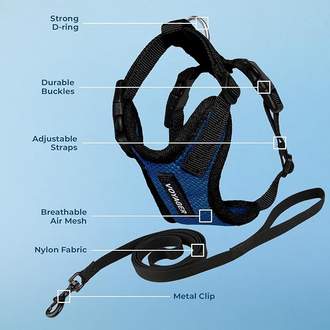 Voyager Escape-Proof Step-In Lock Cat Harness & 5ft Neoprene-Handle Leash Set All-Weather Mesh with Reflective Stitching For Small to Large Cats by Best Pet Supplies, Royal Blue/Black Trim, S