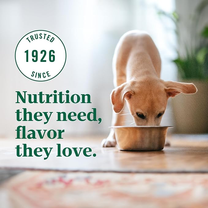 Nutro Ultra High Protein Dry Puppy Food, Chicken, Lamb and Salmon, Dry Dog Food with a Trio of Proteins, 27 lb. Bag