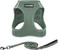 Best Pet Supplies Voyager Step-in Air All Weather Mesh Harness and Reflective Dog 5ft Leash Combo with Neoprene Handle, for Small, Medium and Large Breed Puppies - Set (Moss Green), X-Large