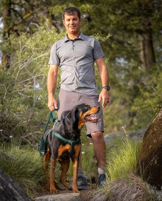 Blueberry Pet Essentials Matching Dog Collar Leash Harness Set in Verdant Green, Adjustable Classic Solid Color Nylon Collar with Harness & 5 ft Leash for Medium Dogs