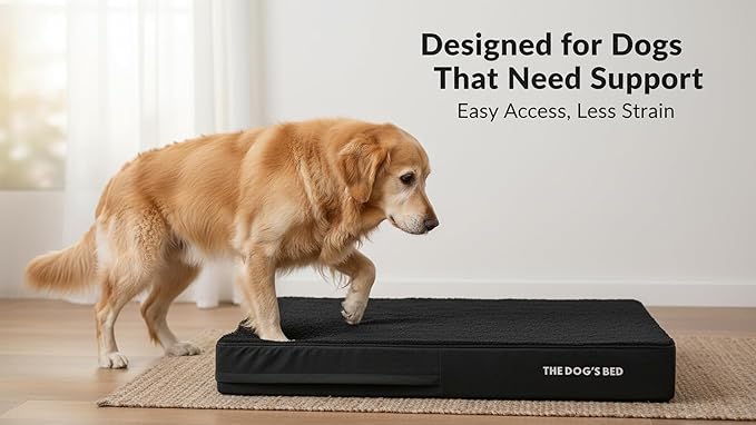 The Dog’s Bed Orthopedic Memory Foam Dog Bed for XXL Dogs, Waterproof Washable Cover, Anti-Slip Base, Calming Surface – CertiPUR-Certified Foam, Black Plush, 6 Inch Thick
