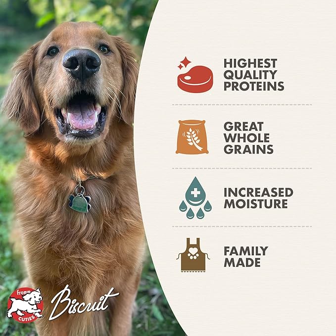 Fromm Venison & Beef Pate Dog Food - Premium Wet Dog Food - Venison Recipe - Case of 12 Cans
