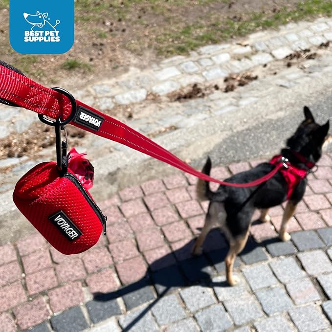 Voyager Reflective Dog Leash with Neoprene Handle, 5ft Long, Supports Small, Medium, and Large Breed Puppies, Cute and Heavy Duty for Walking, Running, and Training - Black (Leash), S (Pack of 2)