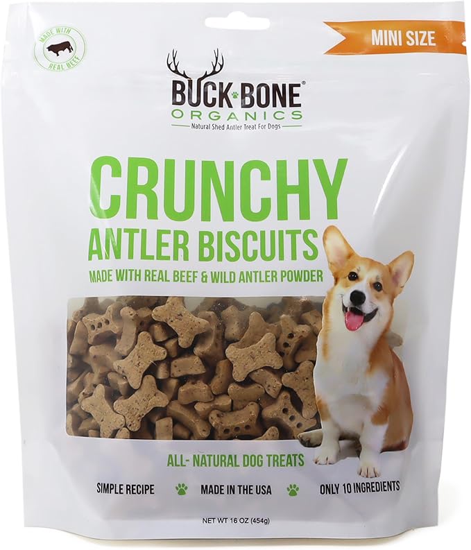Buck Bone Organics Dog Biscuits, Made with Real Antler and Organics Ingredients (Mini's 16 OZ)