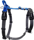 Non-Restrictive Dog Harness, Easy Walk Freedom No Pull Harness, Keep Balance, Neck-Buckle, Six Points Adjustment, 2 Leash Clips for Back and Front Clip (Blue/Black, X-Large)