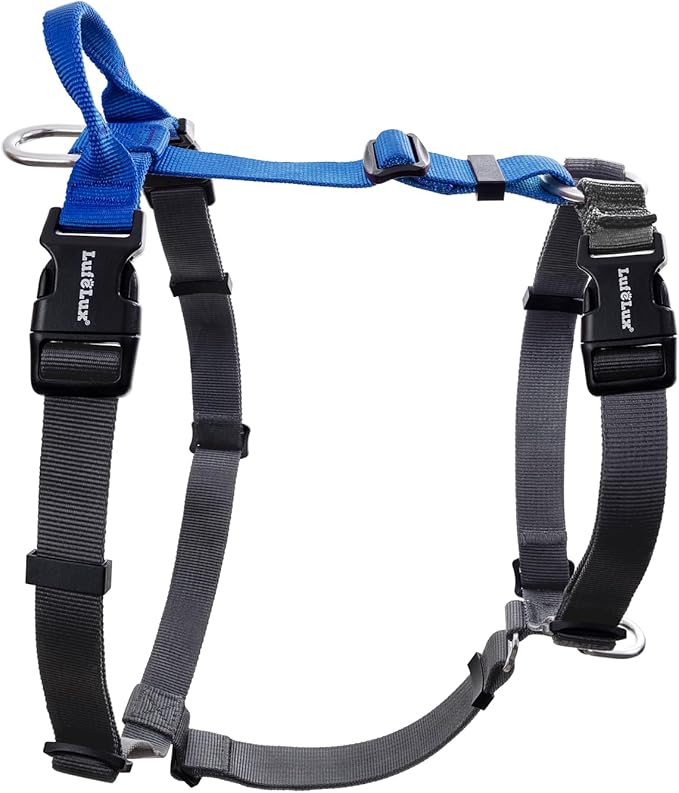Non Restrictive No Pull Dog Harness, Neck Buckle Desgin, Lightweight Easy Walk Freedom Harness, Six Points Adjustment, Small Dogs Chest(17-23inches) Blue/Black