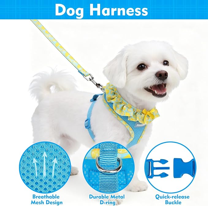 EXPAWLORER Cute Dog Harness Collar Leash Set - Blue Girl Dog Harness Checkered Step-in Design, Adjustable No-Choke Lightweight Mesh Vest for Cats Puppy Small Dogs, Lemon XS