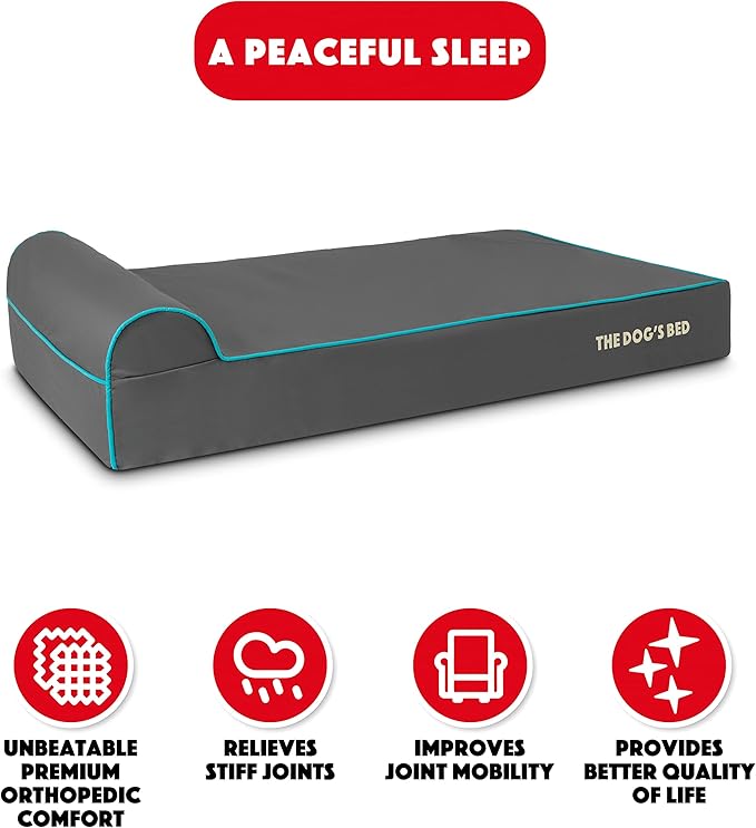 The Dog’s Bed Orthopedic Memory Foam Dog Bed with Headrest, Calming Surface – CertiPUR-Certified Foam, Oxford Fabric, Grey with Blue Trim, XL, 6-Inch