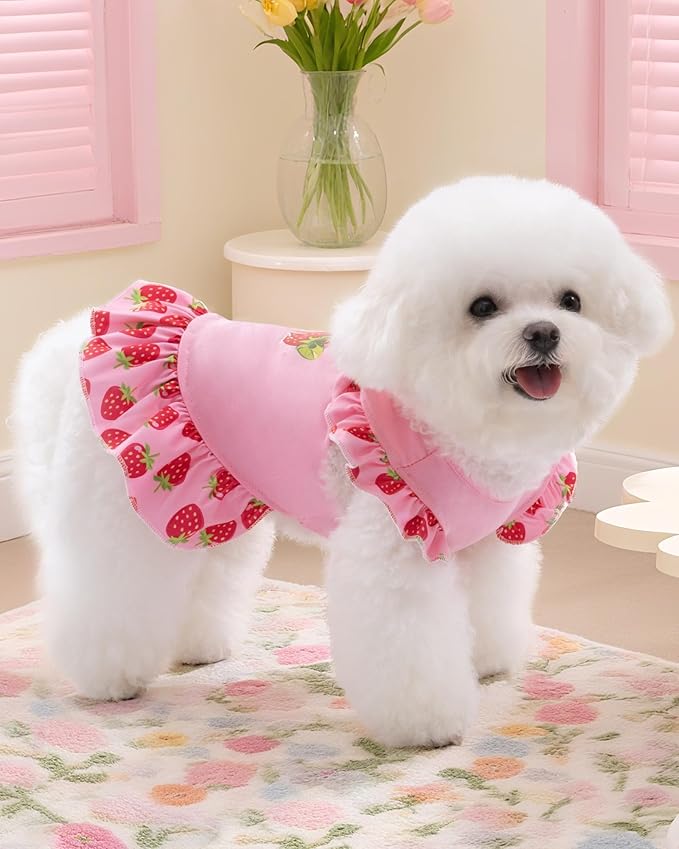 XPUDAC 4 Pack Dog Dresses Cute Printed Puppy Clothes for Small Dogs Girl Chihuahua Doggie Outfits Tank Top Vest Dresses Cat Apparel，X-Small(Chest-13.2")