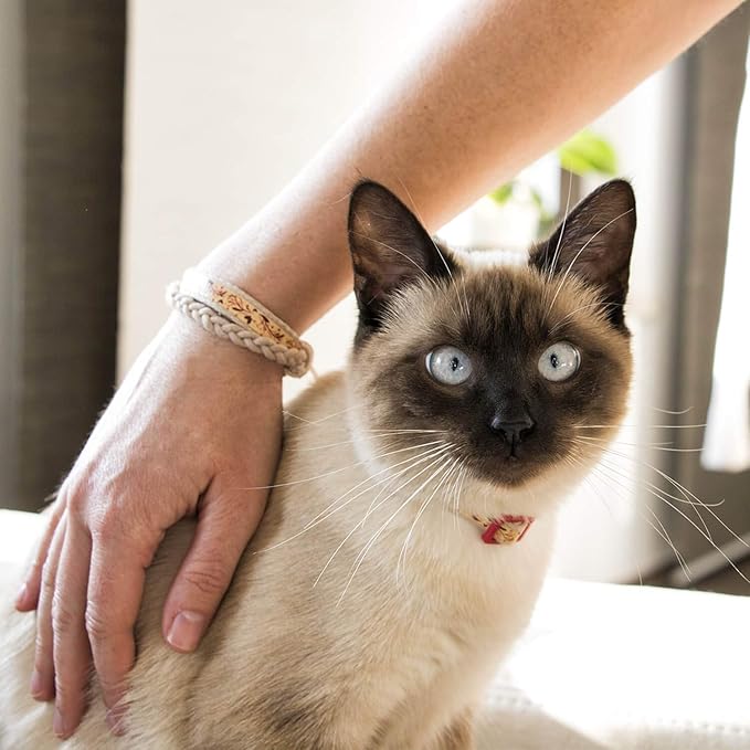 Pettsie Kitten Collar Breakaway with Matching Bracelet – Soft Cotton, Quick-Release Safety Buckle, Adjustable 5"-8", Stylish Gift Box, Red