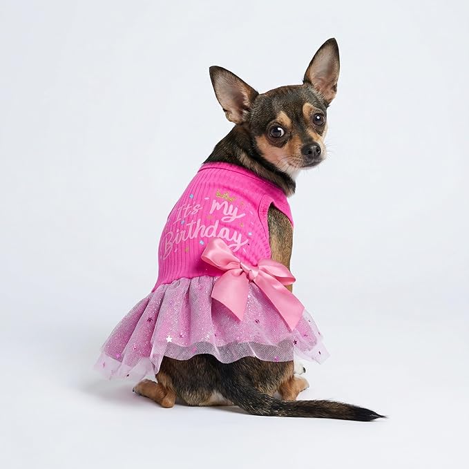 Fitwarm It's My Birthday Dress with Bowknot for Small Dogs, Funny Clothes for Female Pets, Pink, XS