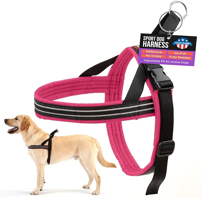 ComfortFlex Sport Dog Harness – No-Choke, Fully Padded, Non-Chafing Harness with Control Handle – Reflective, Lightweight, Adjustable for Active Dogs - XLarge, Berry