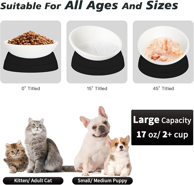 Cat Bowls Elevated Cat Food Bowl Adjustable Pet Dish Anti-Slip and Anti-Noise Raised Bowl Protecting Pet’s Spine Thickened Plastic Bowl Suitable for Indoor, 17 Oz