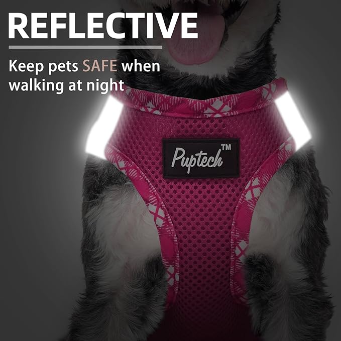 PUPTECK Dog Harness and Leash Set for Small Medium Dogs No Pull Step-in Soft Mesh Puppy Cat Vest Harnesses Reflective at Night, Fuchsia, M