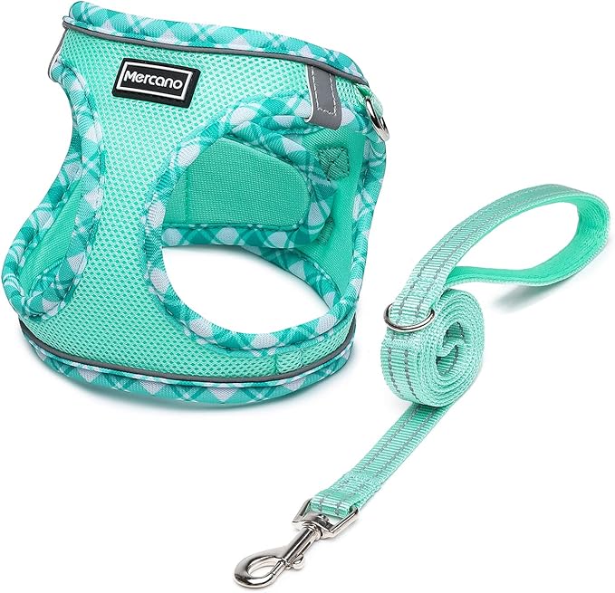 Mercano Soft Mesh Dog Harness and Leash Set, No-Chock Step-in Reflective Breathable Lightweight Easy Walk Vest Harnesses with Safety Buckle for Small Dogs, Cats (Light Green, M)