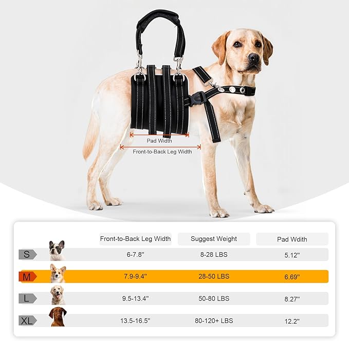 CWV Female Dog Sling for Back Legs, Dog Lift Harness, Magic Tape Dog Sling for Large Dogs Hind Leg Support, Medium, White ＆ Black