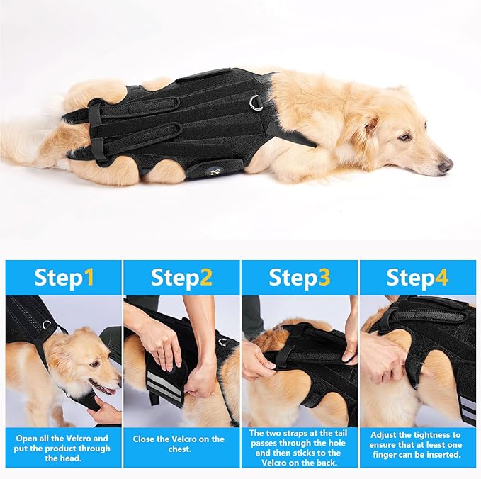 Coodeo Dog Back Brace for Dogs Arthritis, Pet Back Bracer for IVDD, Back Protector Helps Pain Relief, Surgical Recovery and Rehabilitation, Dogs Back Disease Prevention. (Black,Medium)