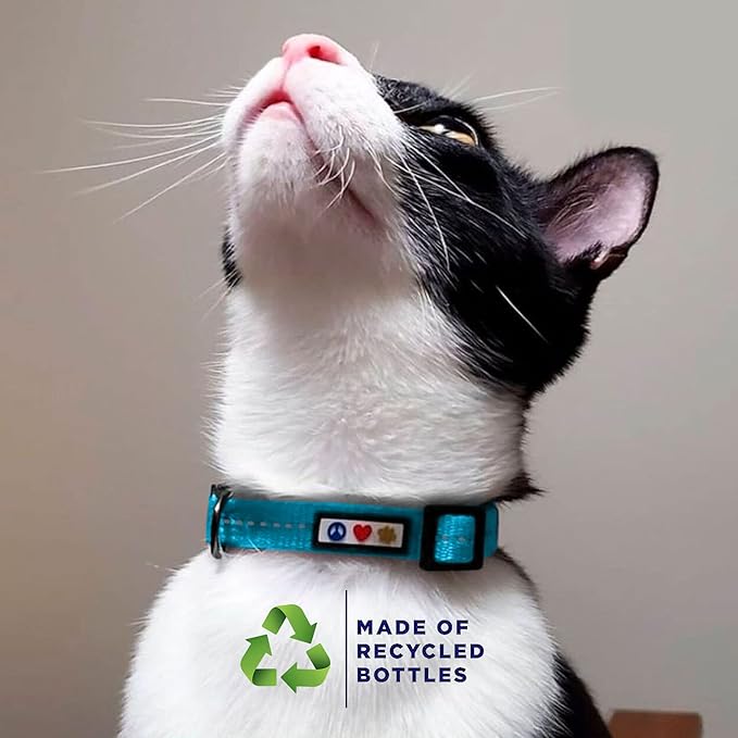 Pawtitas Recycled Red Reflective Cat Collar – Eco-Friendly Breakaway Safety Buckle, Adjustable Kitten & Adult Collar with Removable Bell and High-Visibility Strap