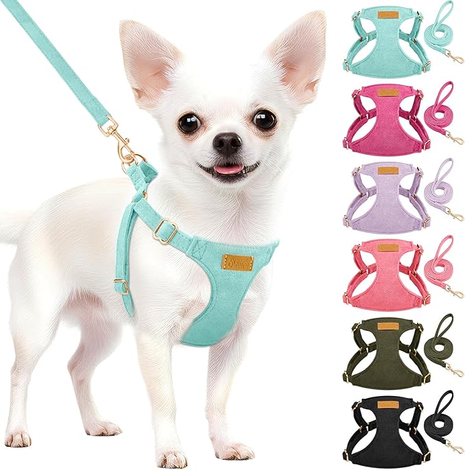 SlowTon Dog Harness Small Sized Dog - Soft XXS Dog Harness and Leash Set No Pull No Chock, Adjustable Lightweight Puppy Harness for XS Small Medium Dogs Cats (Solid Light Blue, M)