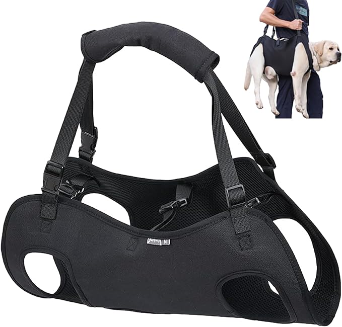Dog Lift Harness, Emergency Backpack Pet Legs Support & Rehabilitation Sling Carrier, Adjustable Lifting Straps Carrier for Senior Elderly Dogs Joint Injuries Arthritis M