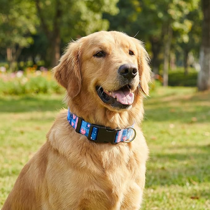 Floral Dog Collar, Adjustable Soft Nylon Pet Collar for Small Medium Large Dogs, Cute Flower Pattern Dog Collar for Girl Boy Dogs(Sweet Heart,M)